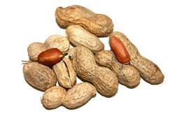 Prøv denne E-Væske hvis du elsker peanuts. Her får du en dejlig smag af peanuts i hvert sug.
