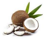 Kokos smager af kokosnød, sydens palmer og bounty-strande.