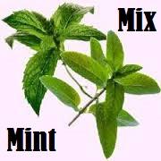 Mix Mint (IW)