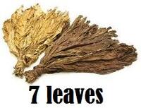 7 Leaves (IW)