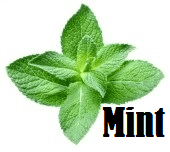Mint (IW)